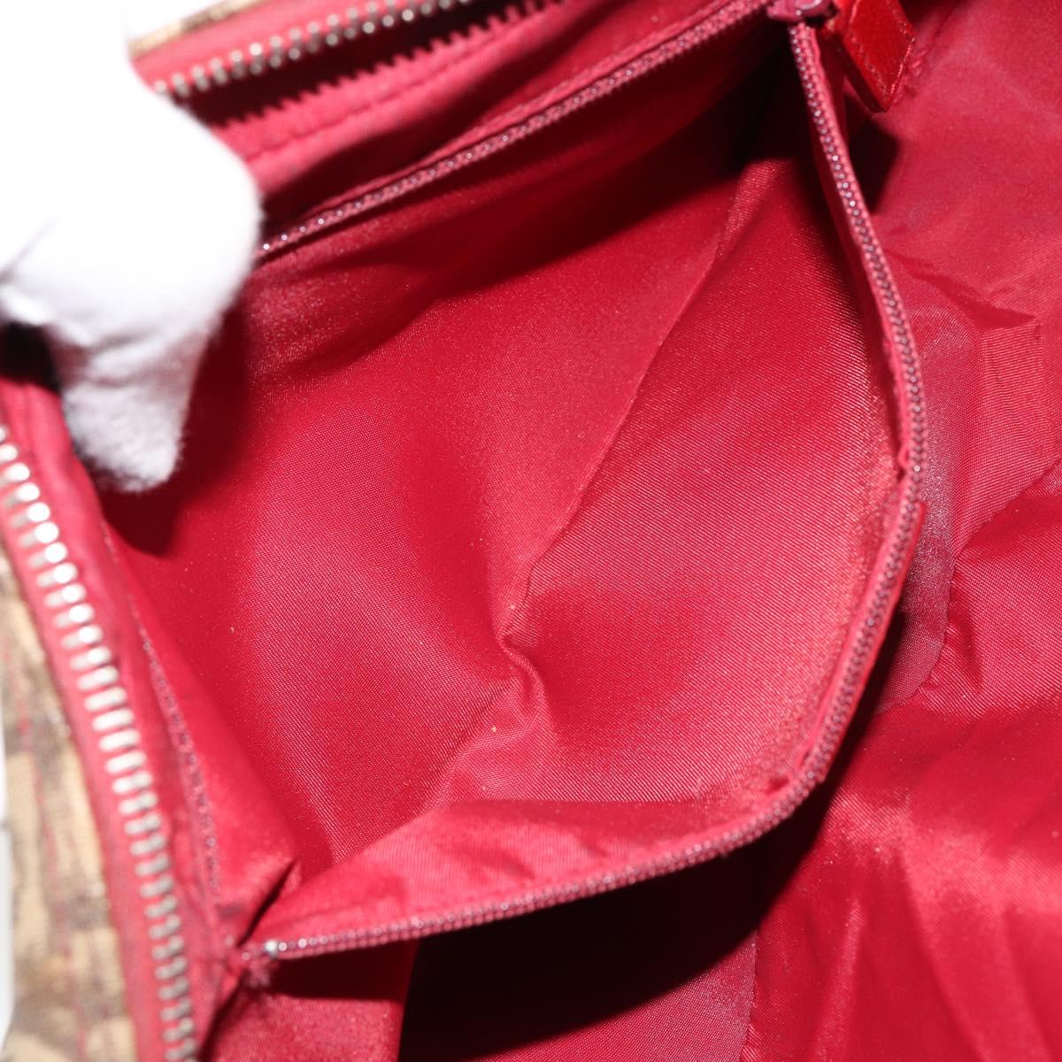 Dior Rasta Crossbody Vintage Bag Brown