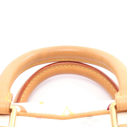 Louis Vuitton Multicolor Handbag