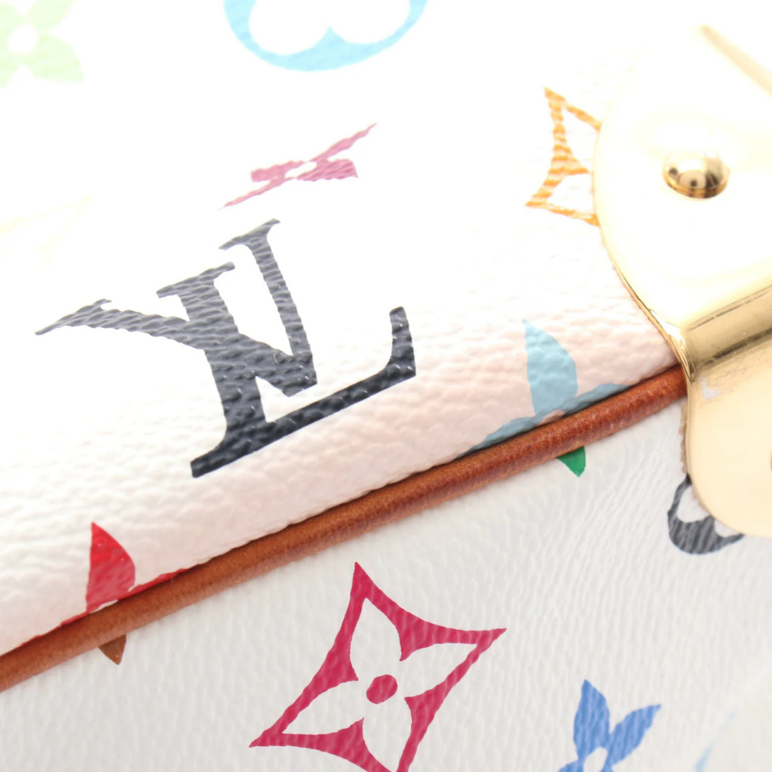 Louis Vuitton Multicolor Handbag