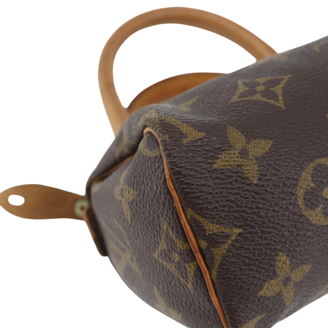 Louis Vuitton Speedy Mini Bag