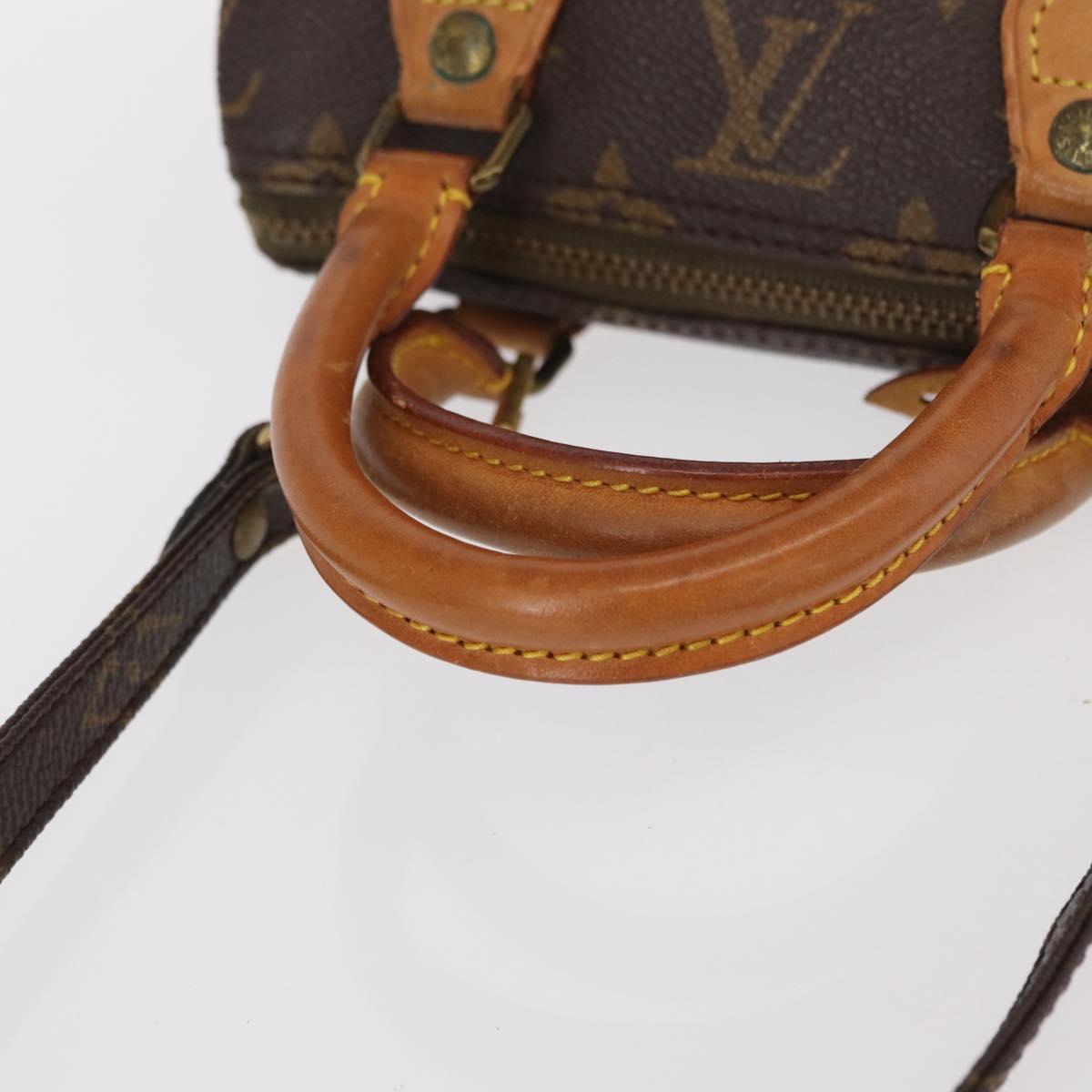 Louis Vuitton Speedy Mini Bag
