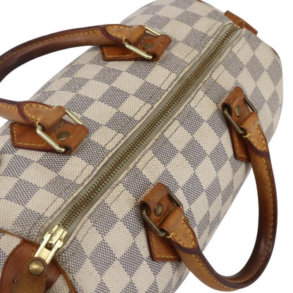 Louis Vuitton Speedy 25 Bag