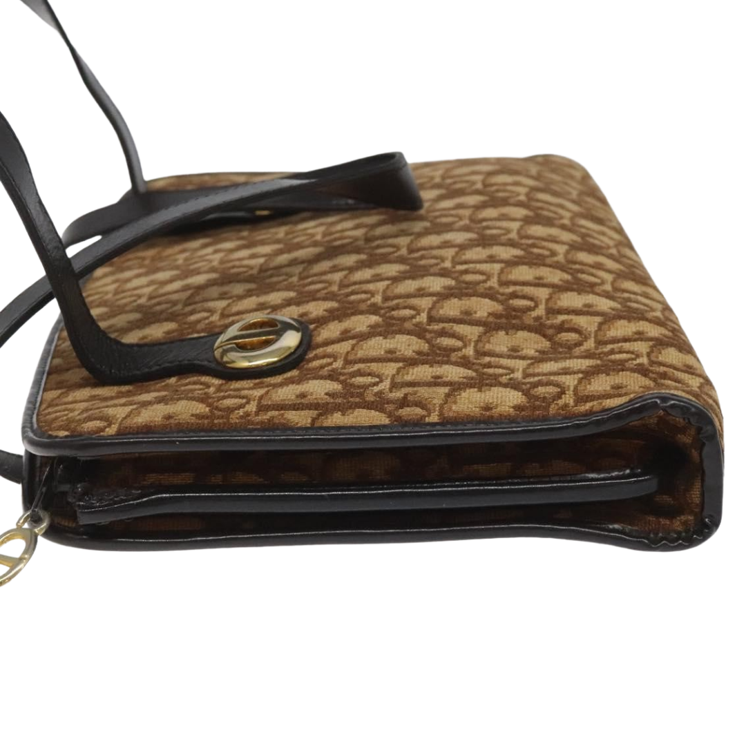 Dior Trotter Bag