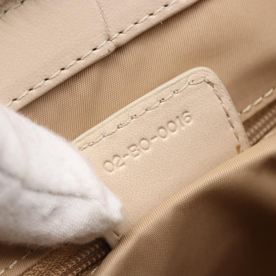 Dior Romantique Trotter Bag