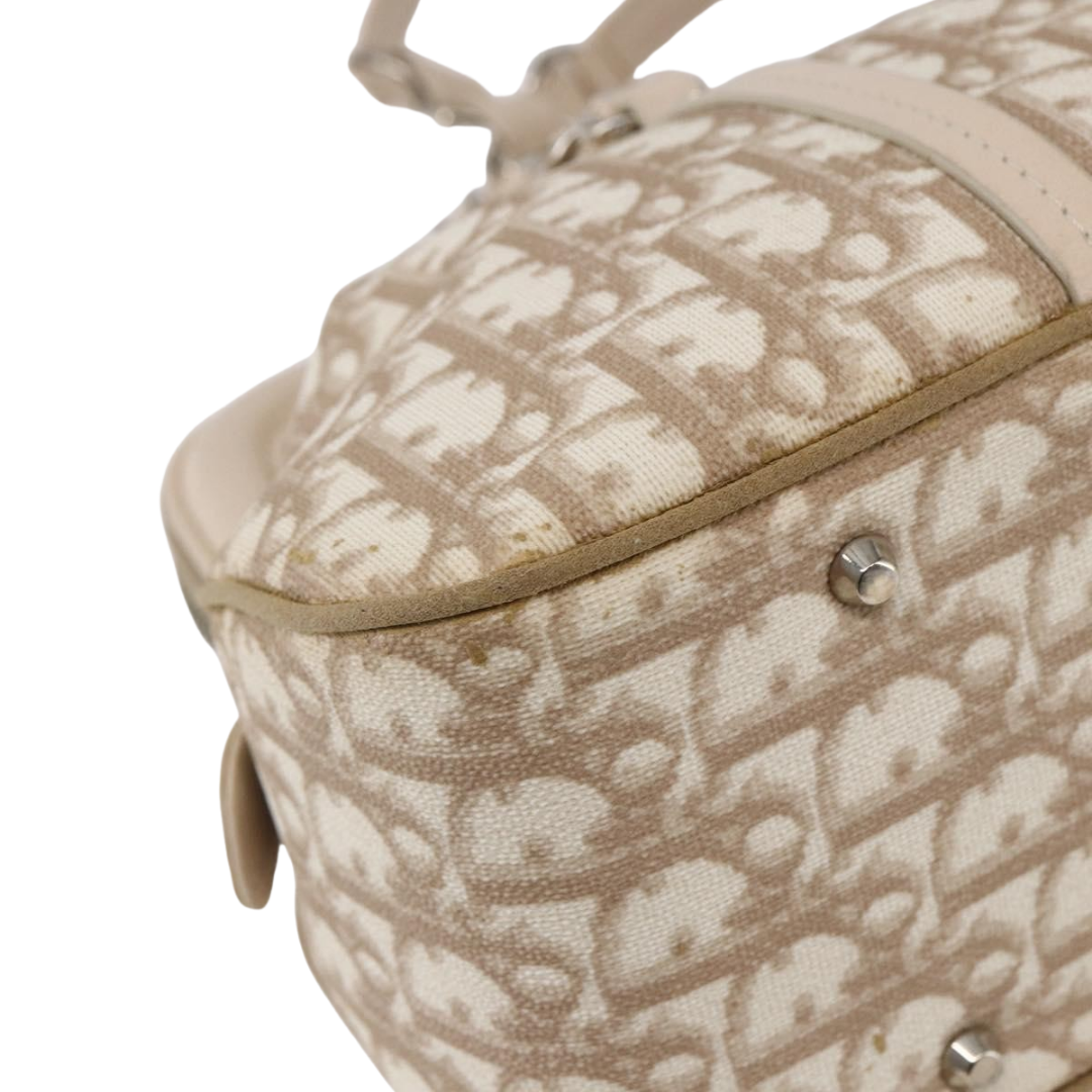 Dior Romantique Trotter Bag