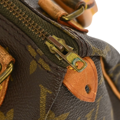 Louis Vuitton Speedy Mini Bag