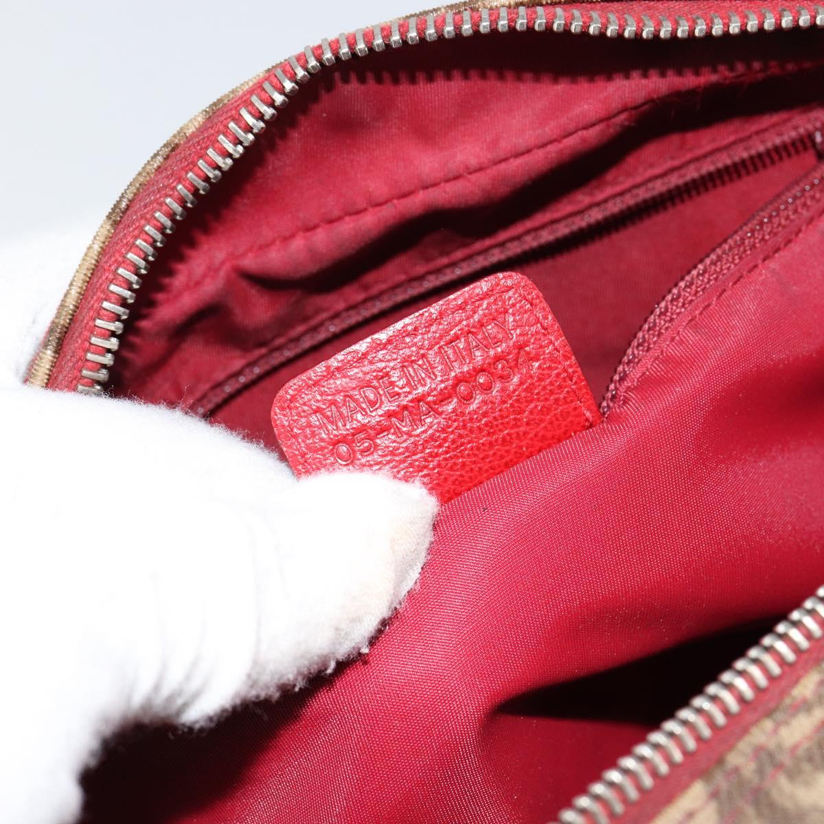 Dior Rasta Crossbody Vintage Bag Brown