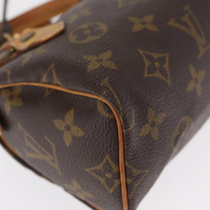 Louis Vuitton Speedy Mini Bag