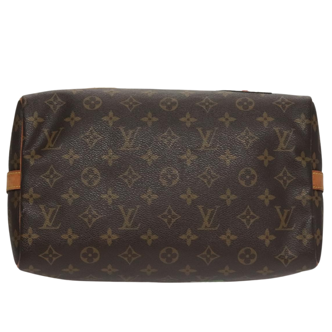 Louis Vuitton Speedy 30 Bag