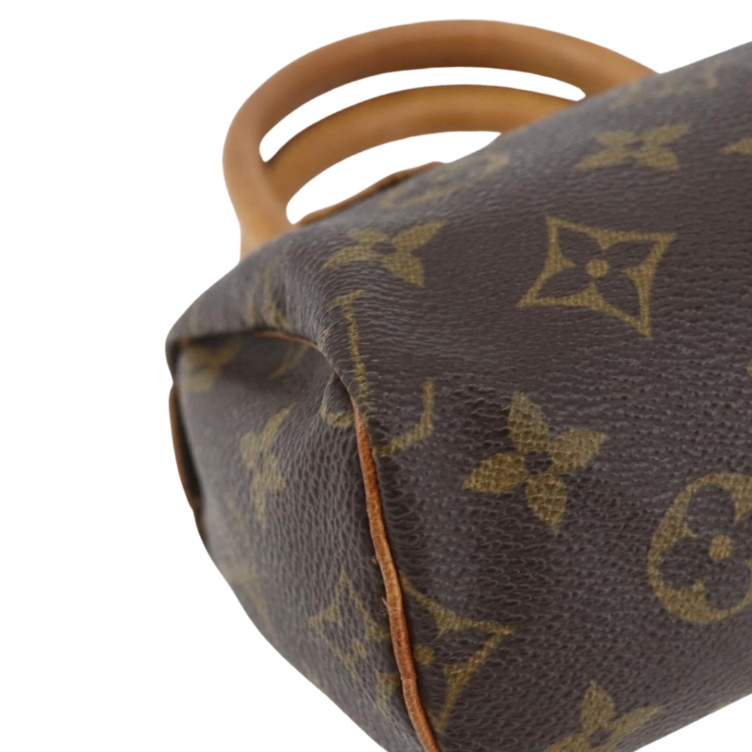 Louis Vuitton Speedy Mini Bag