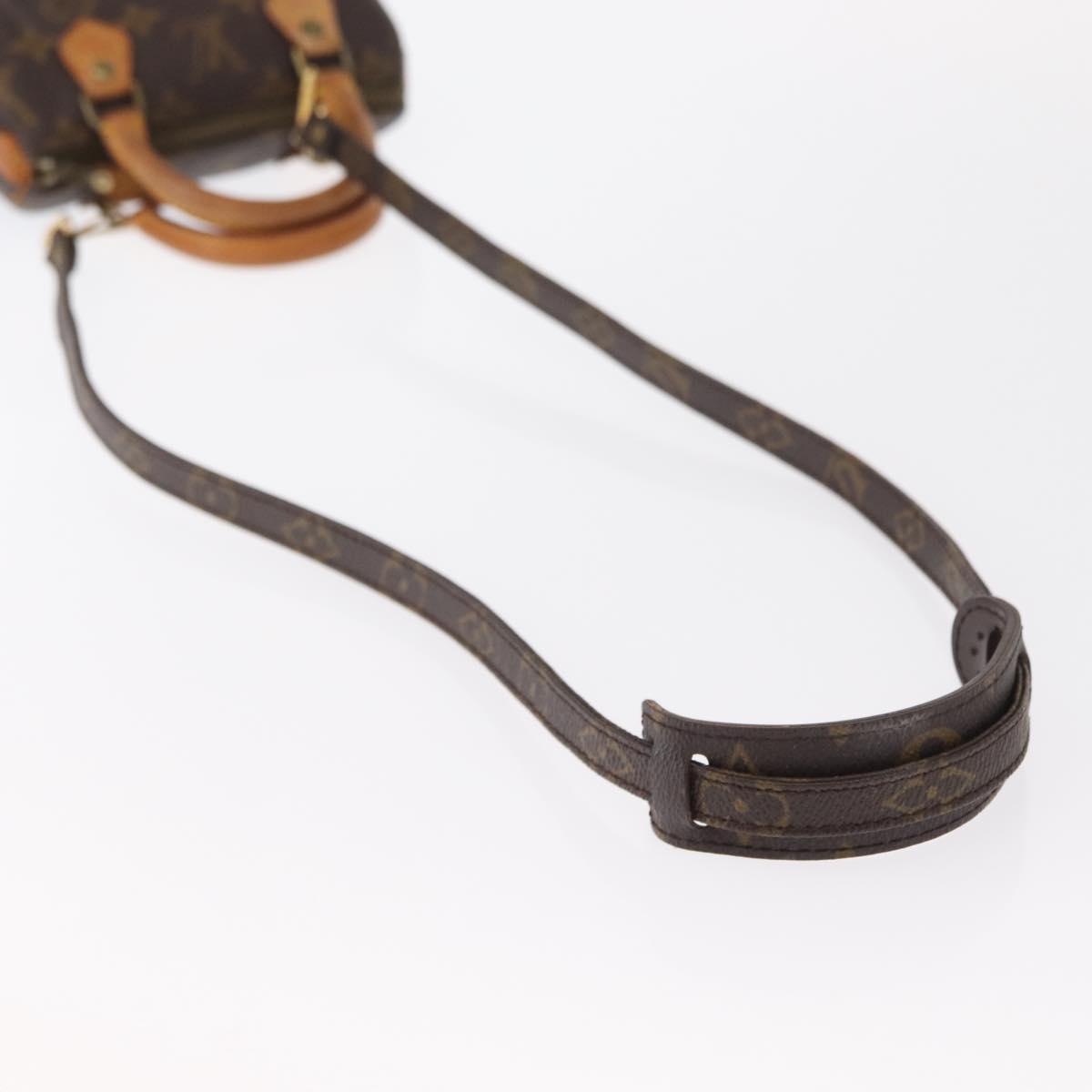 Louis Vuitton Speedy Mini Bag