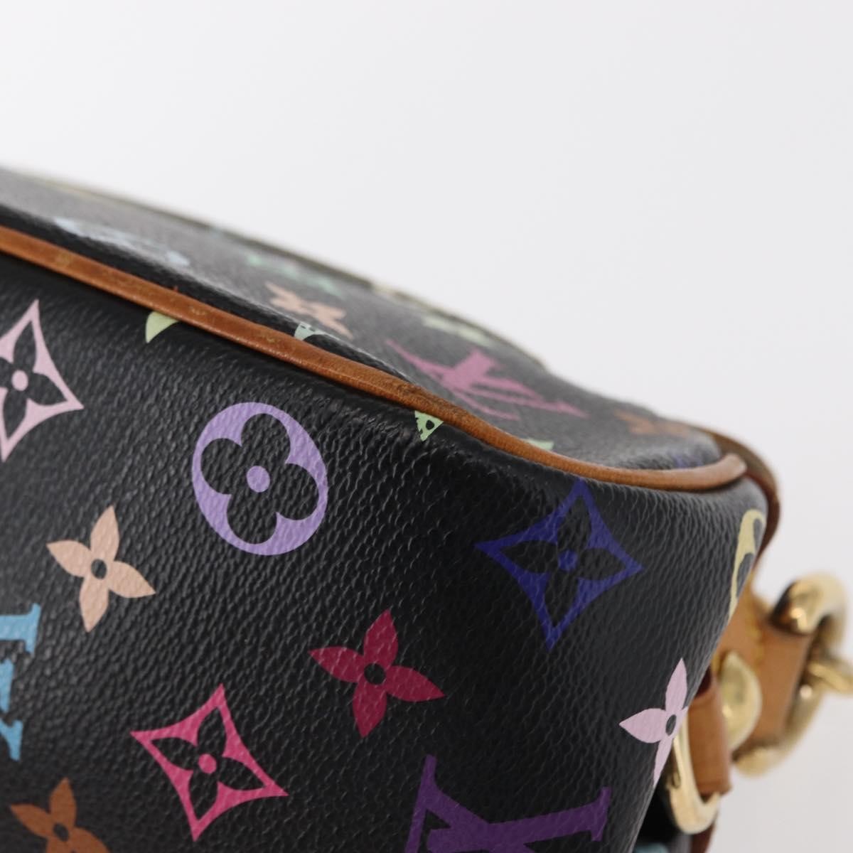 Louis Vuitton Marilyn Multicolor Bag